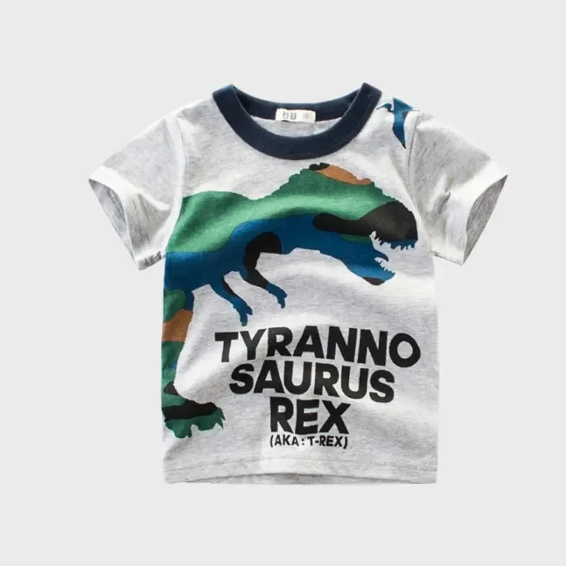 Boys Cotton T-shirt
