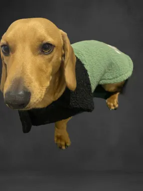 Dachshund and Standard dog coats for Puppy. Handmade Pet clothing/costume