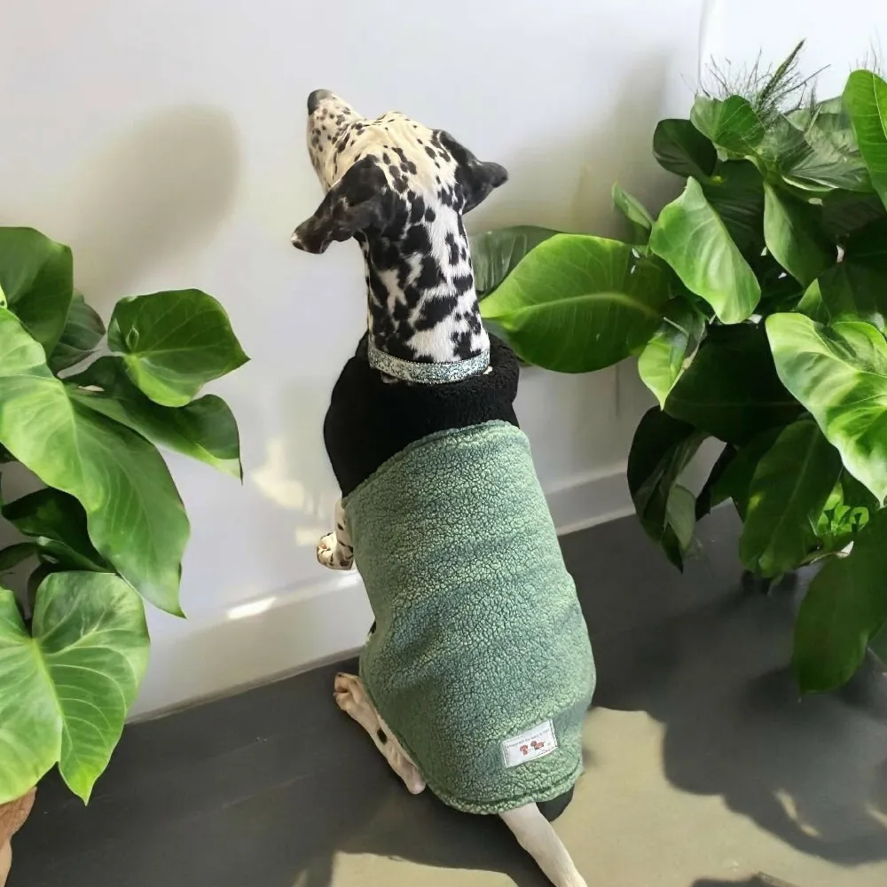 Dachshund and Standard dog coats for Puppy. Handmade Pet clothing/costume